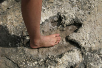 Dinosaur footprints near Beijing