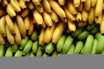 Banana can replace other important products