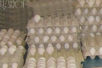 Dirty, old eggs on sale: citizen warns 