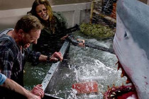 'Sharknado' Trailer: Tara Reid, Ian Ziering Get Pummeled by Flying Sharks