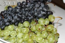 Ministry expects 245 thousand tons of grapes to be harvested this year  