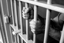 540 convicts released under amnesty 