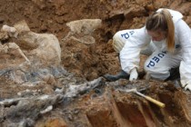 Hundreds of bodies found in Bosnia mass grave