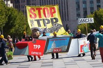 WikiLeaks reveals secret draft of TPP environment chapter