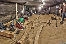 Chile's stunning fossil whale graveyard explained