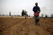 UN warns of drought crisis in Syria