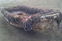 Boat washed ashore in Washington might be from 2011 tsunami in Japan