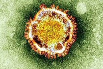 MERS outbreak becomes more urgent, WHO says