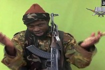 Nigeria Boko Haram crisis: '20 women abducted' in north