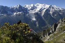 Mont Blanc climbers 'found dead' after France search