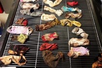 Oregon dog eats 43 socks, vets remove every single one