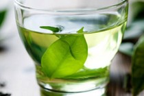 Green tea could helps scientists develop new cancer fighting drugs