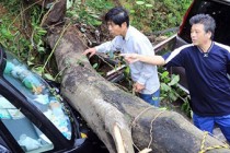 Typhoon Vongfong injures dozens in Japan