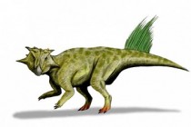 Fossil fragments of biggest known parrot-beaked dinosaur found in Siberia