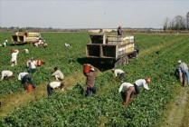 Dollar rally reshaping migrant workers' remittances