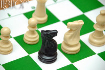 Round 5: Siranush Andriasian tops Chess Women Championship