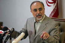 Iran is ready to exchange uranium, on condition inside country