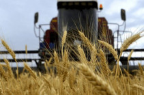 The ban on import of grain cargo via Georgia’s land route delayed till October