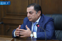 Republican party makes no decision over conduction of snap elections in December: faction head