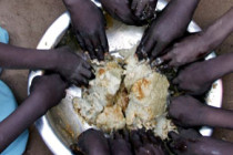 FAO: Number of hungry people worldwide nears 1 billion