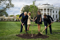 Macron to send Trump replacement friendship tree