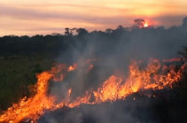 Amazon fires: 'Our house is burning', Macron warns ahead of G7