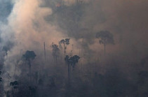 Amazon fires: Brazil bans land clearance blazes for 60 days