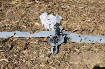 Artsakh's air-defense forces shot down Azerbaijani UAV (photos)