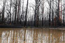 Australia fires: Heavy rains hit some blaze-hit regions