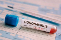 Artsakh reports 2 new coronavirus cases