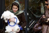 Iran bans pet ads and describes dogs as “unclean animals”