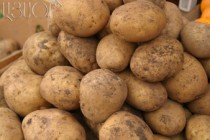 Potato prices will become stable by autumn, says Minister