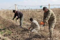 Азербайджанцы под угрозой оружия заставили жителей села Храморт покинуть виноградники – глава общины