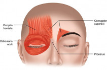Բլեֆարոսպազմ. Տեսողության խանգարման հիմնական պատճառները