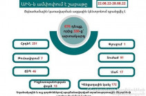 За неделю зарегистрировано 676 случаев, 330 из которых являются чрезвычайными – МЧС Армении