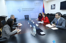 Անահիտ Ավանեսյանը ԿԽՄԿ պատվիրակության ղեկավարի հետ քննարկել է Արցախում առողջապահական ճգնաժամի վտանգները կանխելու հնարավորությունները