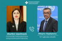 Անահիտ Ավանեսյանը ԱՀԿ գլխավոր տնօրենին ներկայացրել է իրավիճակն Արցախում․ Հեբրեյեսուսը մտահոգություն է հայտնել