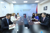 Անահիտ Ավանեսյանը ԱՄՆ դեսպանին է ներկայացրել ապահովագրական համակարգի ստեղծման հնարավորությունները