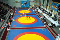 Armenia takes two gold medals in World Sambo Championships 