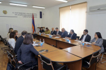 Կարևորվել է «Հայաստան-Վրաստան» էլեկտրահաղորդման գծի արագ կառուցումը