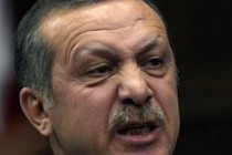 WikiLeaks: 'Aliyev calls Erdogan’s foreign policy a 'naivety'