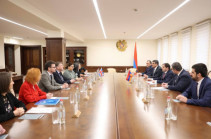 Տարածաշրջանային անվտանգության հարցերը Պապիկյանը քննարկել է Մեծ Բրիտանիայի Համայնքների պալատի անդամ  Ուիթինգդեյլի հետ