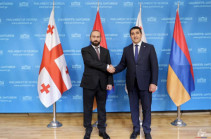Мирзоян и Папуашвили обсудили в Грузии вопросы сотрудничества с Евросоюзом