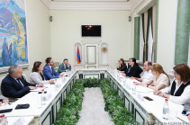 Աննա Վարդապետյանը Նիդերլանդների Թագավորության խորհրդարանի ներկայացուցիչների հետ քննարկել է երկուստեք հետաքրքրություն ներկայացնող հարցերի շրջանակ