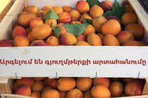 Экспортеры предупреждают, что армянская сторона препятствует экспорту сельхозпродукции в Россию