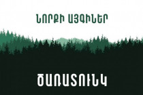 Նորքի  այգիների վերականգման նպատակով կազմակերպվելու է ծառատունկ