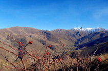 "Green mindset", the fight against landslides and creation of jobs in the communities։ Viva and “My Forest Armenia” NGO are creating a forest again