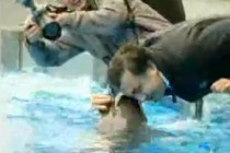 Saakashvili tries thrusting his head into dolphin's chaps