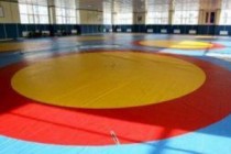 Yerevan hosts Deaf Wrestling Championship 