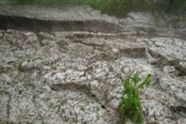 Agriculture: Hail damages the crop